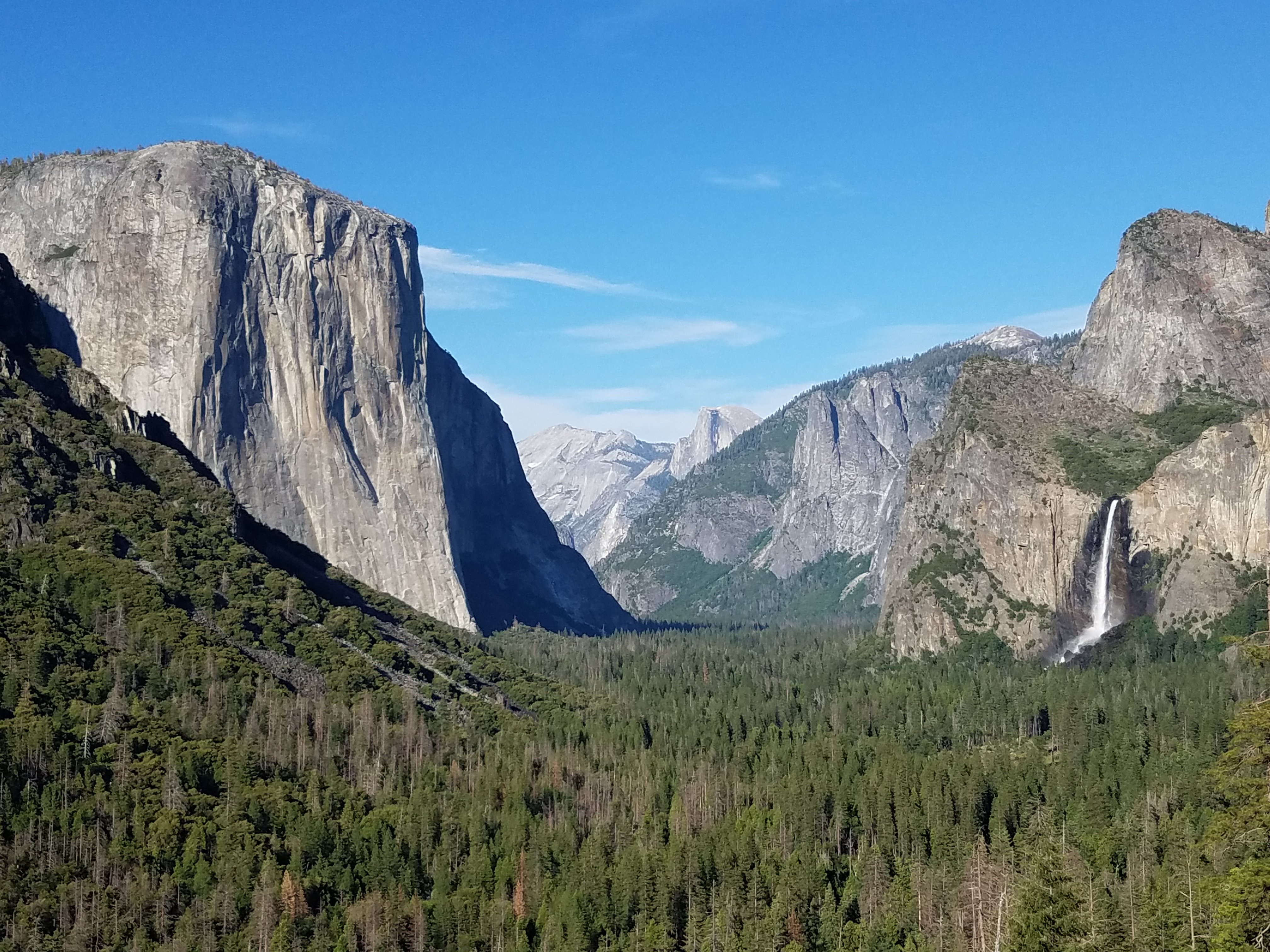 Visiting Sequoia and Yosemite National Parks